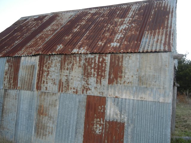 Corrugated iron hut like the huts in the Gully, Katoomba